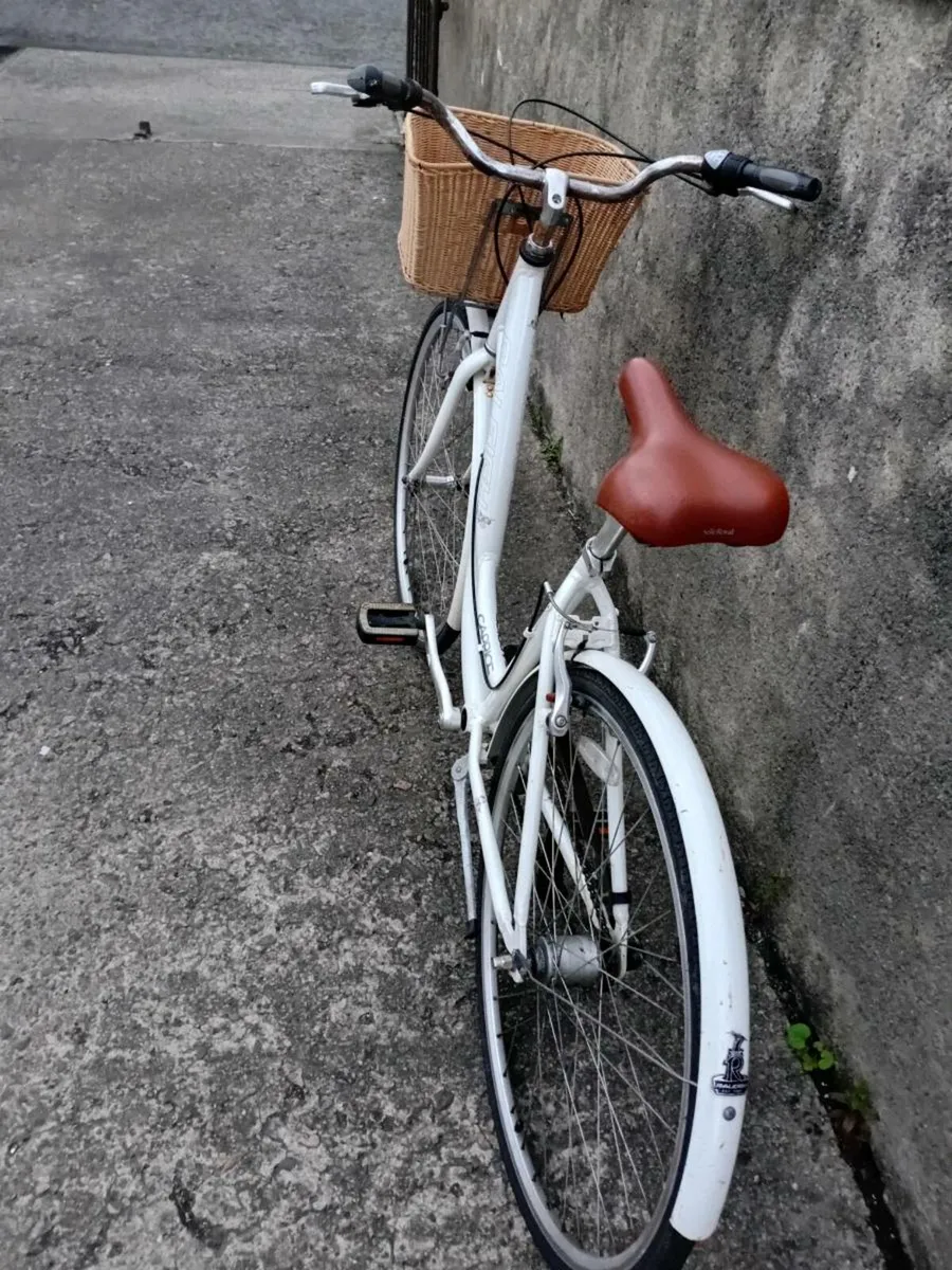 Adults bike - Image 2