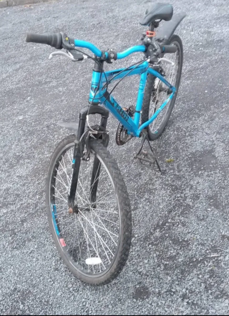 Bicycle - Image 1