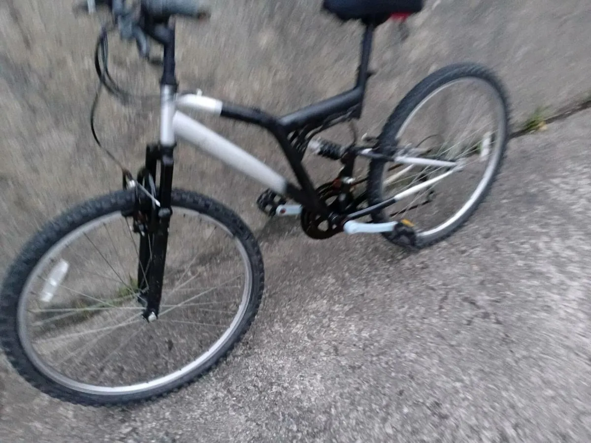 Adults bike - Image 2