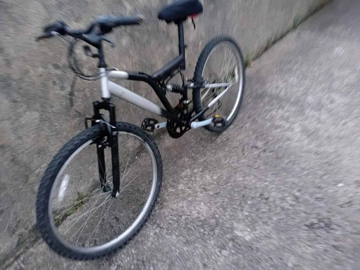 Adults bike - Image 3