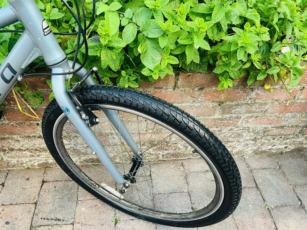 Carrera Mountain Bike Great Condition Working 100% - Image 4