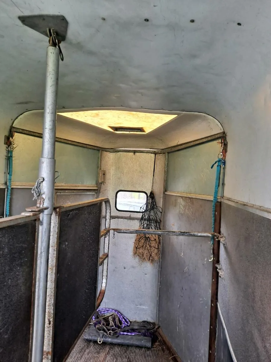 IFOR WILLIAMS 505 - Image 3