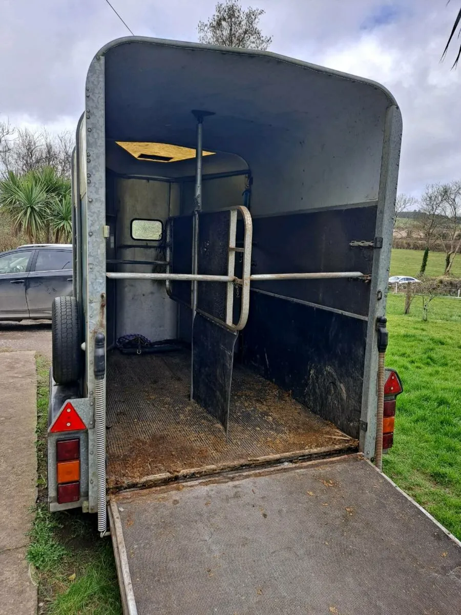 IFOR WILLIAMS 505 - Image 4