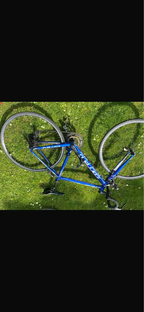 Bicycle - Image 3