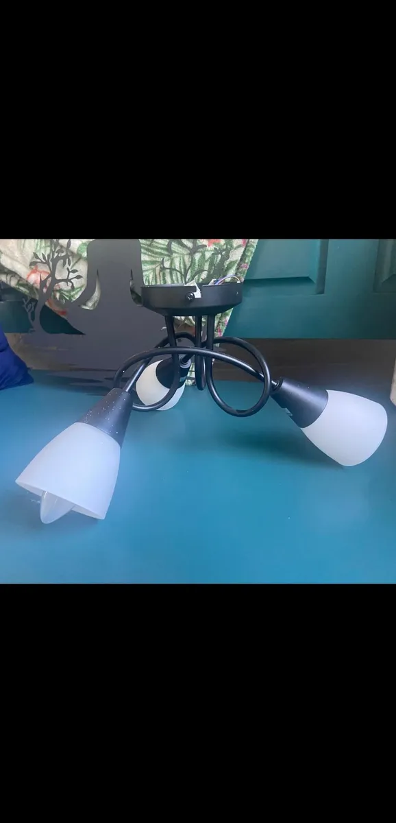 Ceiling Light