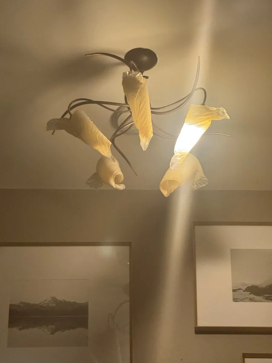 Ceiling Lights x2 - Image 1
