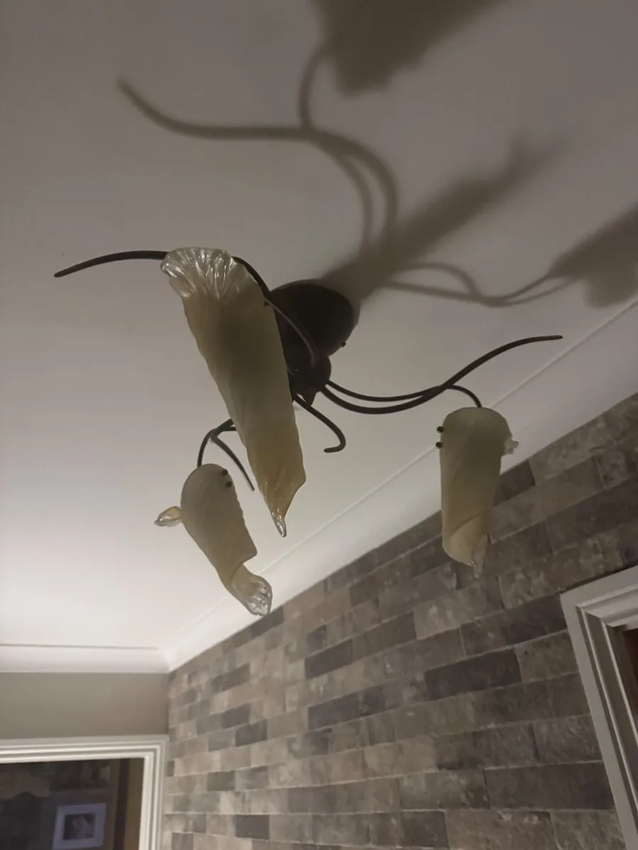 Ceiling Lights x2 - Image 2