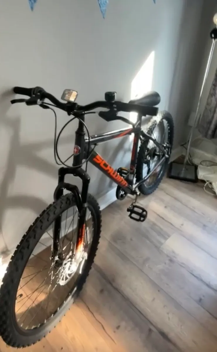 Bike - Image 1