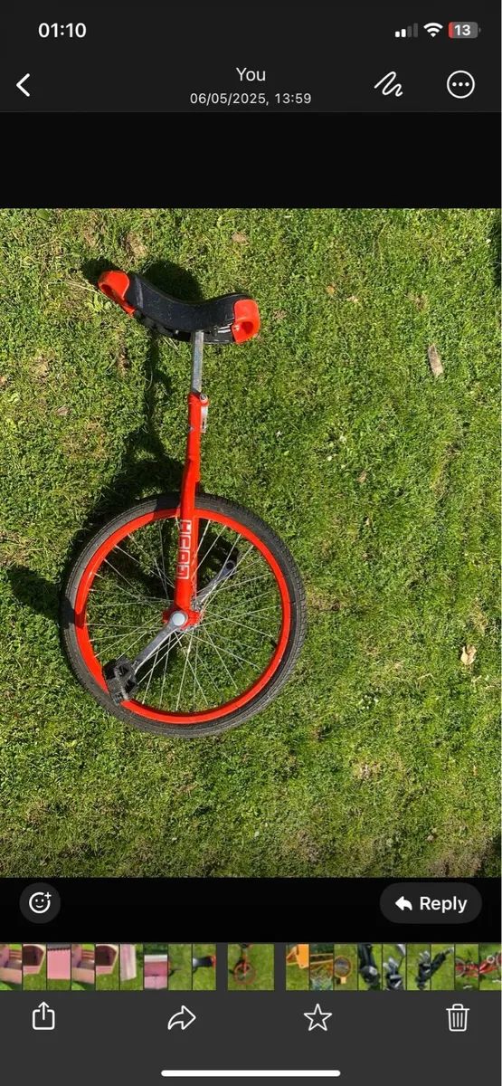 Unicycle - Image 2