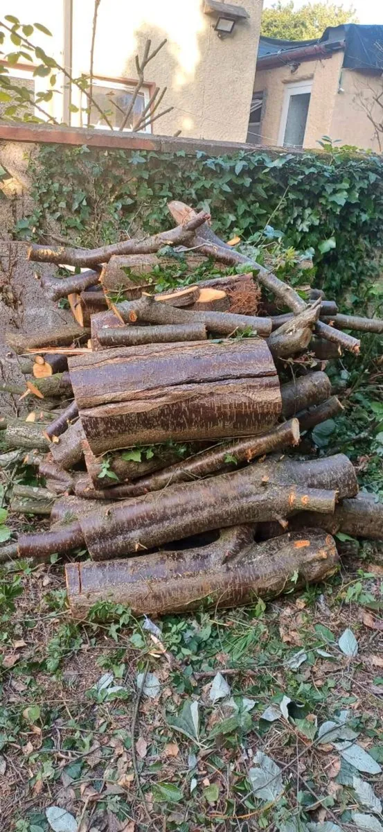 Fire Wood - Image 2