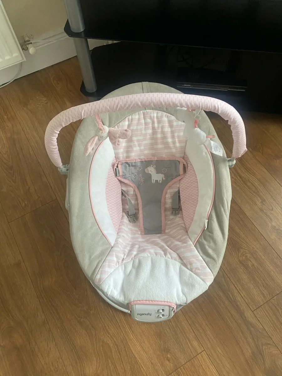 Baby bouncer free to take