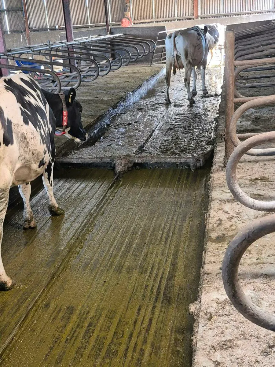 Dairypower rope scrapers - Image 1