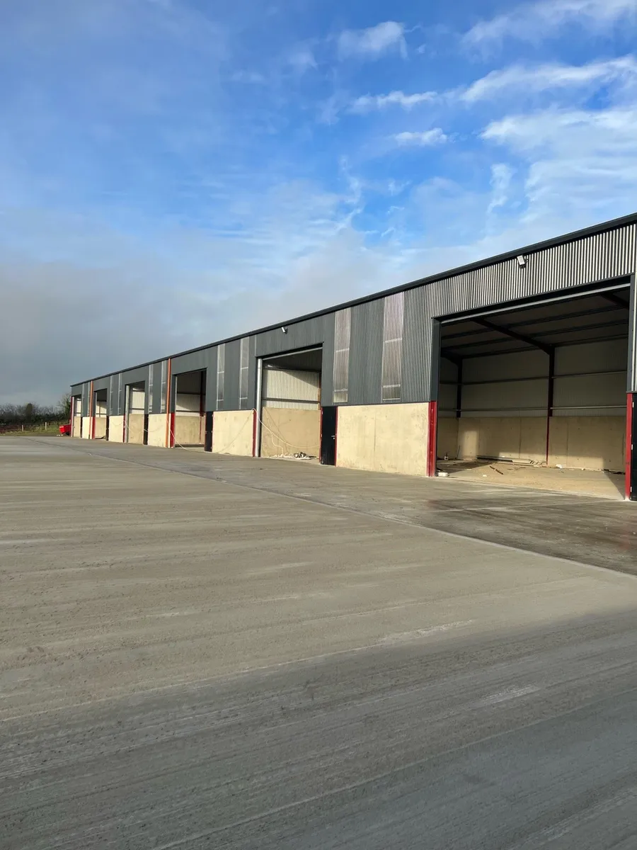 ✅Pallets Storage✅ - Image 4