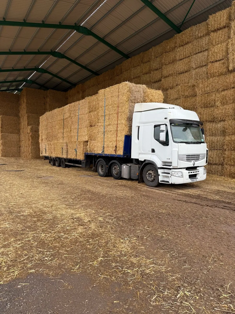 Wanted Barley straw in 8x4x3 & 8x4x4 Ex farm - Image 1
