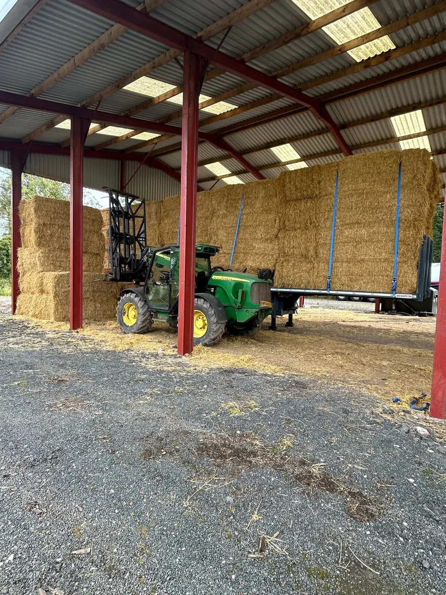 Wanted Barley straw in 8x4x3 & 8x4x4 Ex farm - Image 3