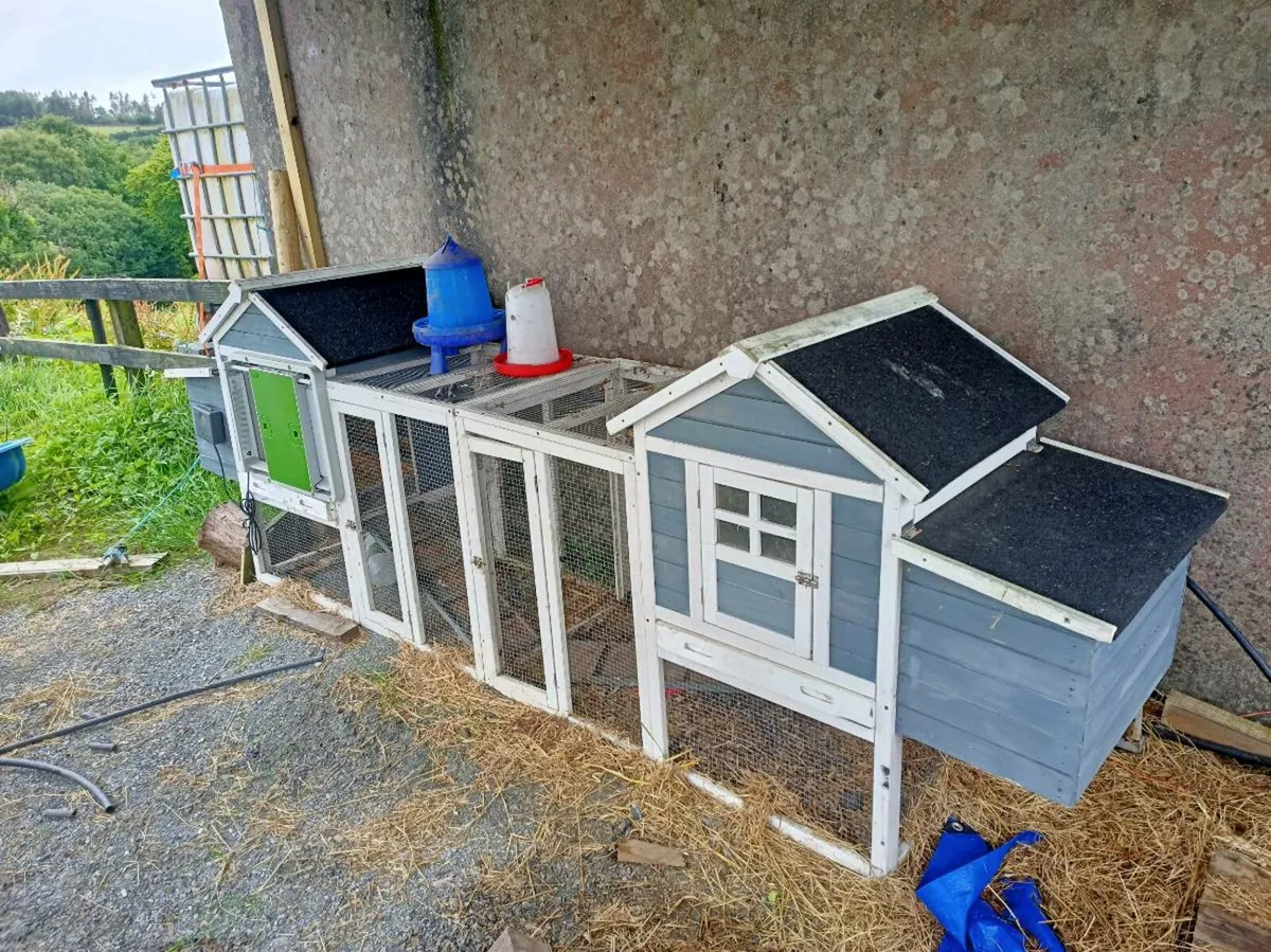 Chicken coop 10-12 bird with omlet automatic door. - Image 3