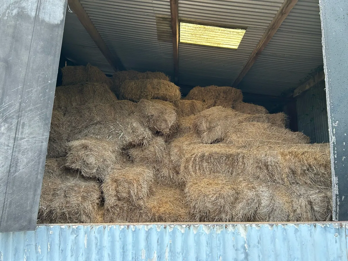 Hay free to good home! - Image 1