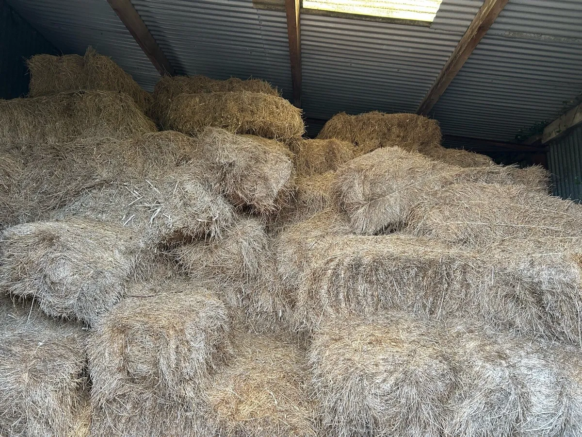 Hay free to good home! - Image 2