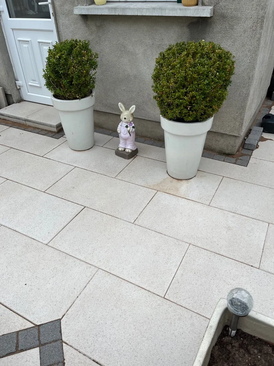Plant Pots with Plant - Image 1