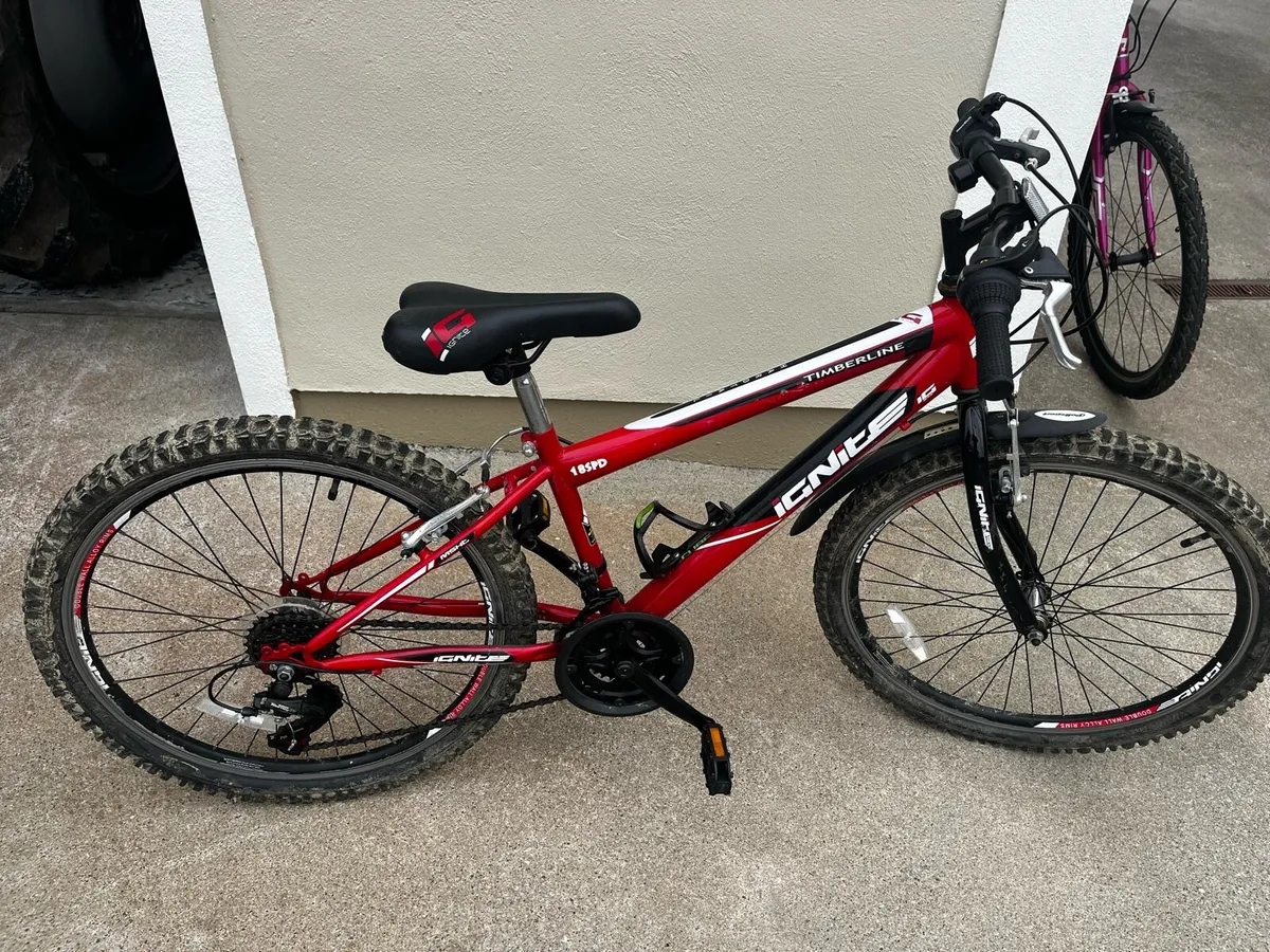 Boys mountain bike - Image 1