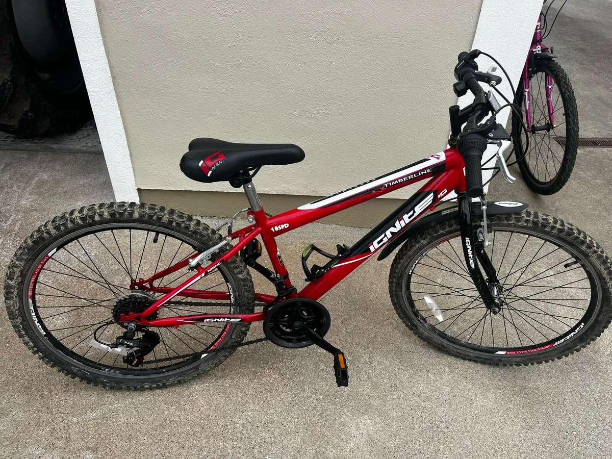 Boys mountain bike - Image 2