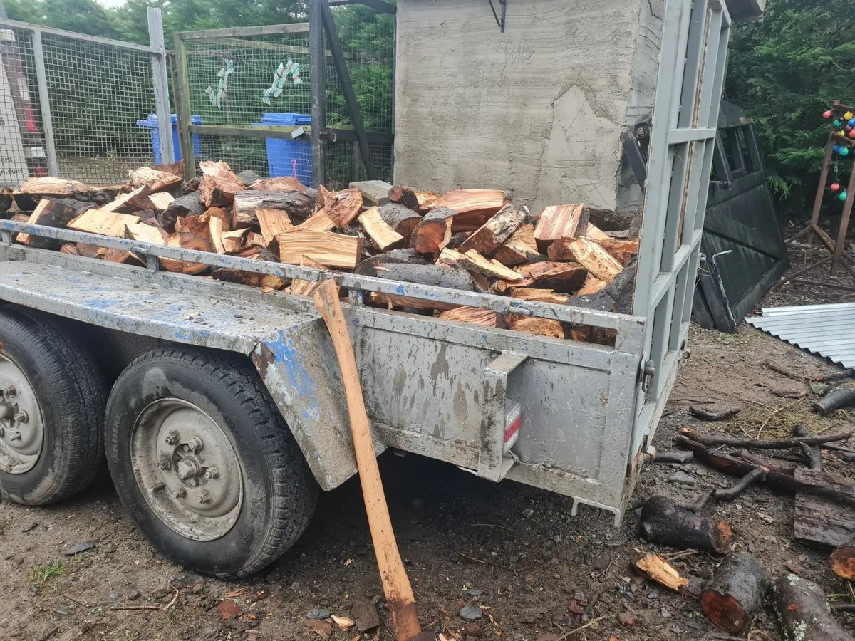 beech firewood - Image 2