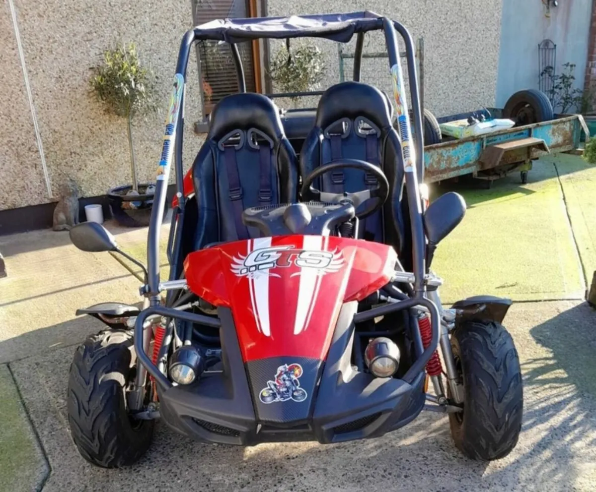 Buggy for sale - Image 1