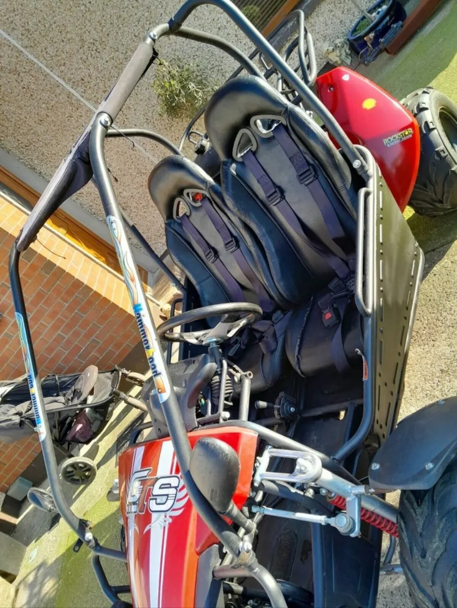 Buggy for sale - Image 3