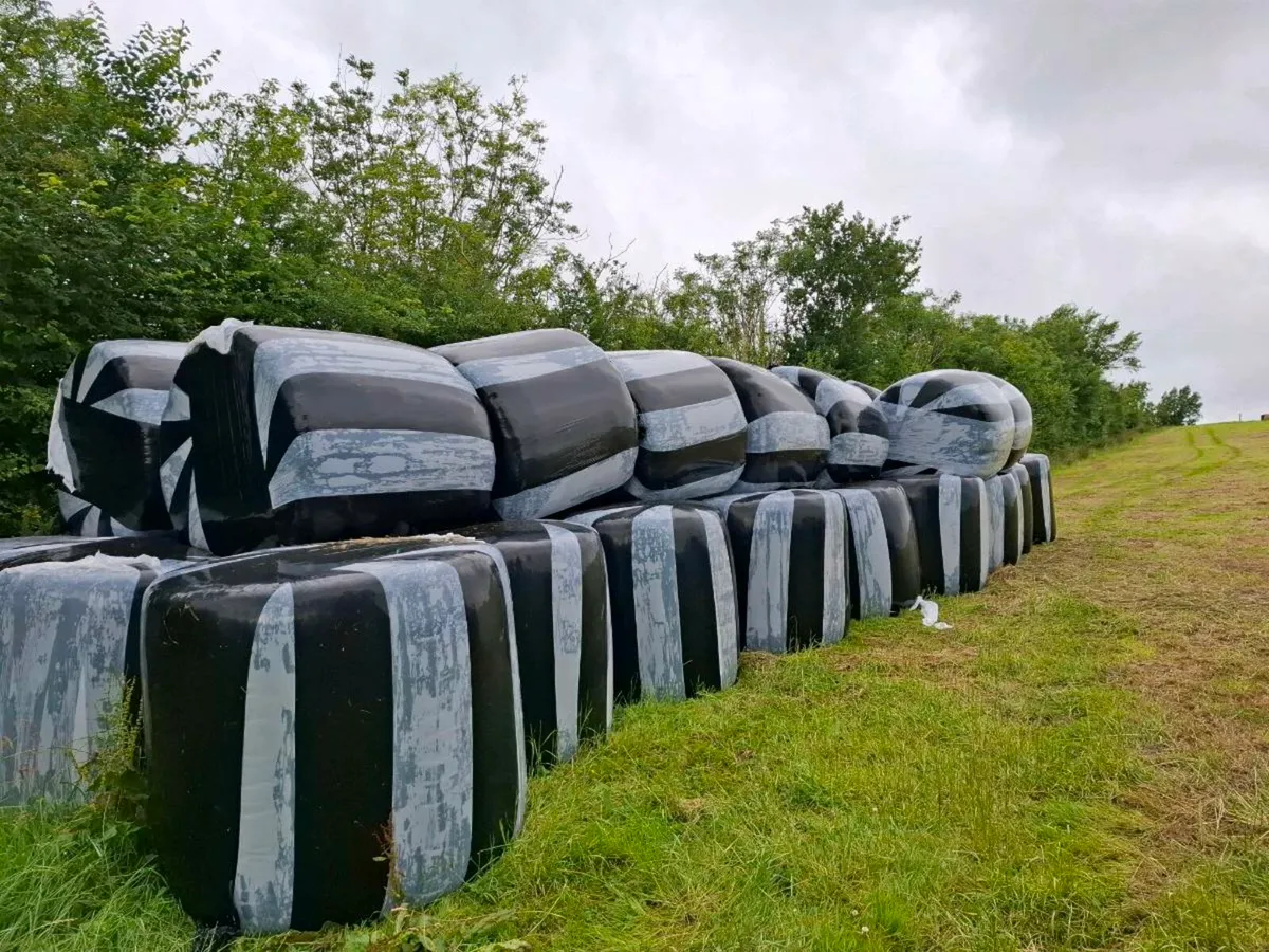 Silage bales