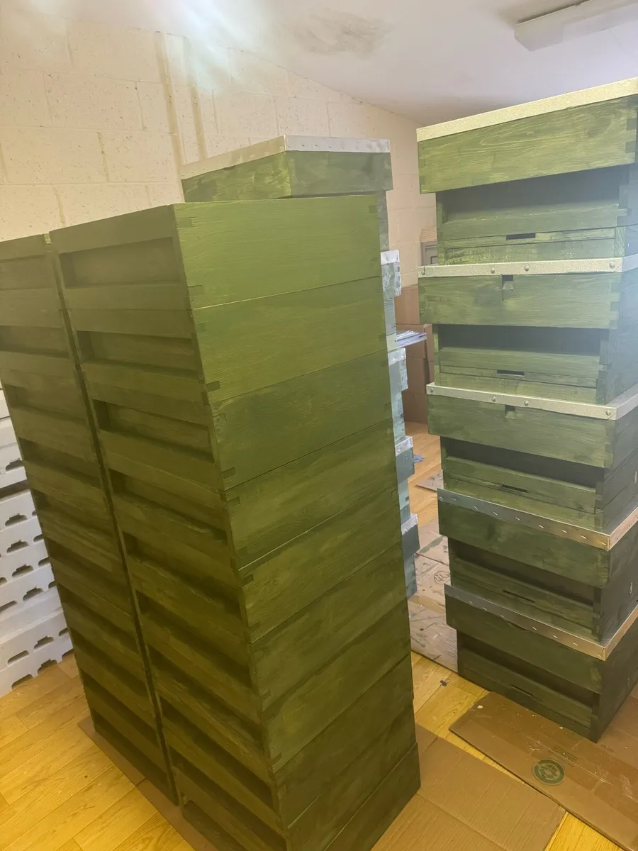 National Brood or Super Box - Image 3