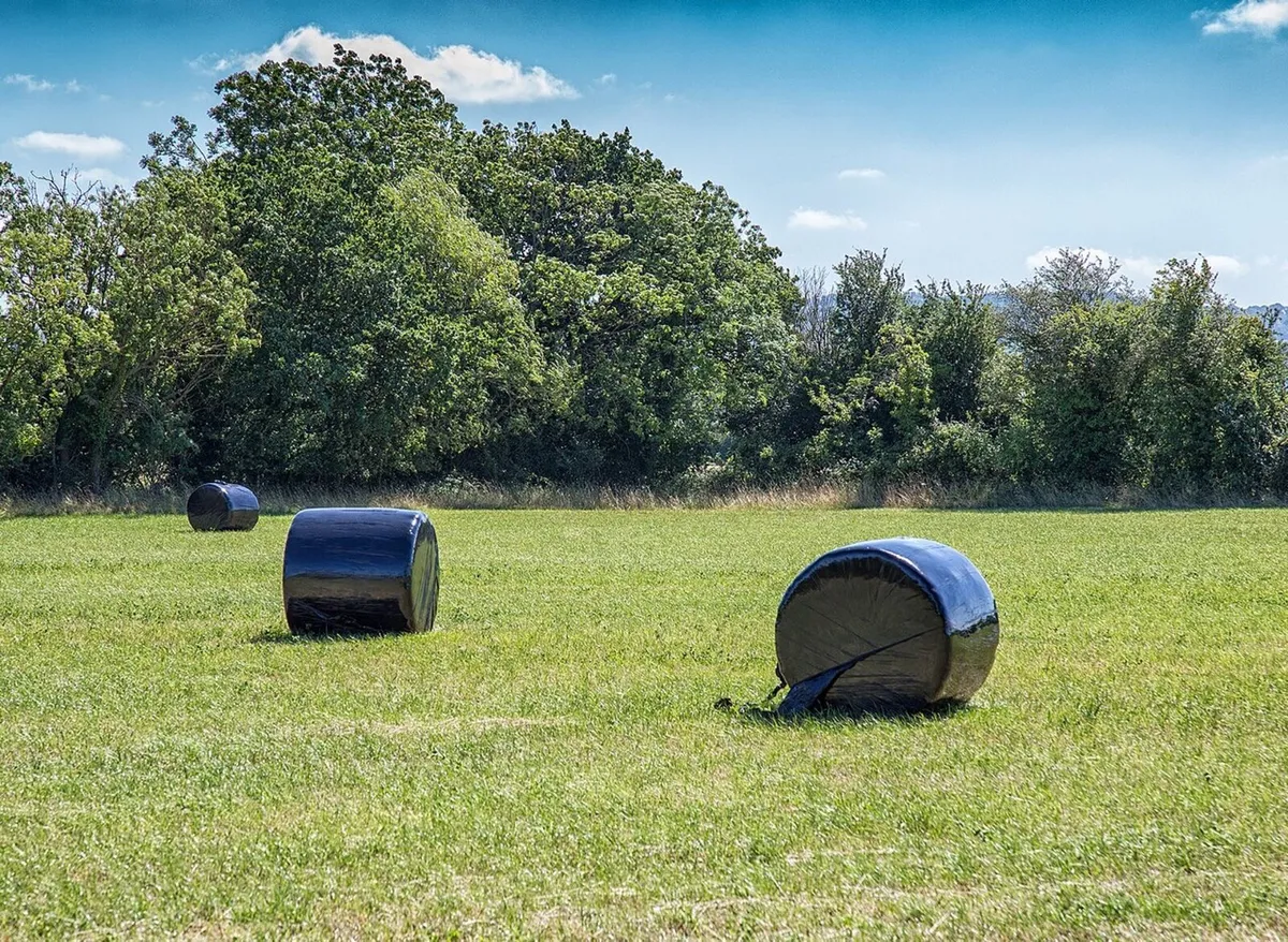 Silage and Haylage