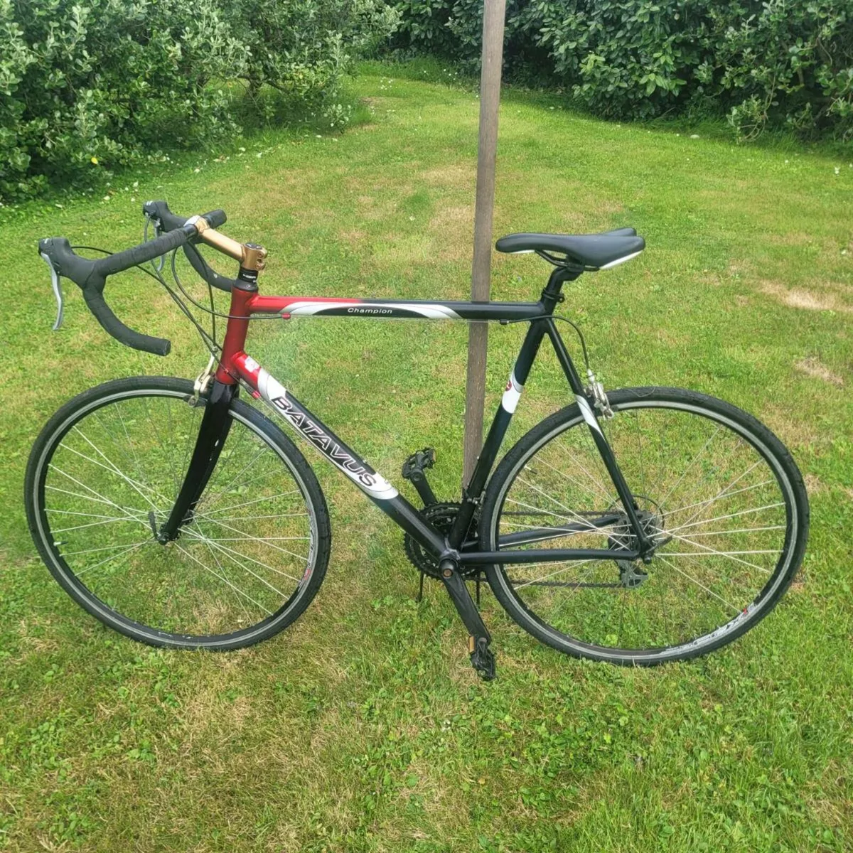 Bicycle - Image 1