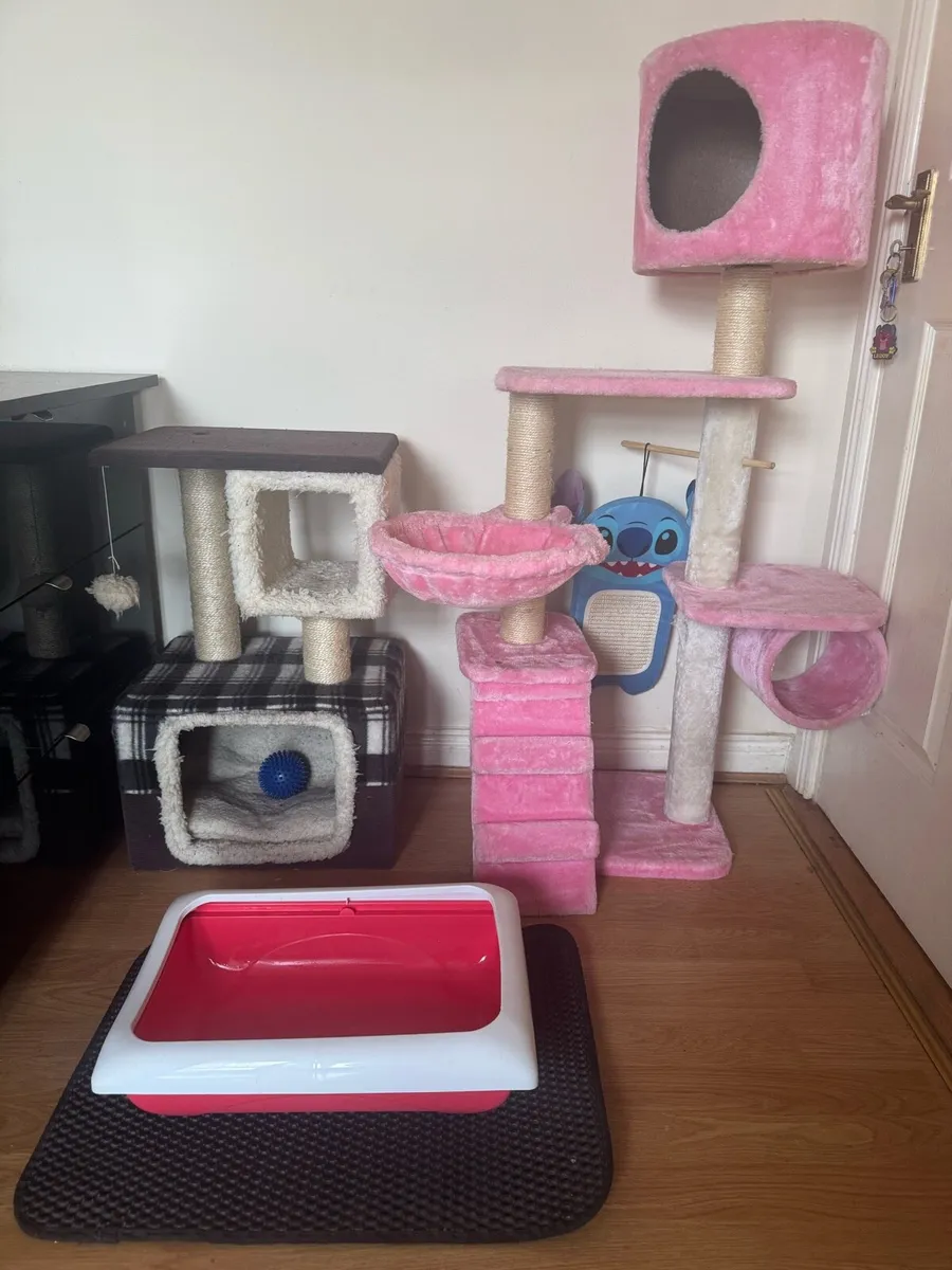 2 Cat Houses + Litter box - Image 1