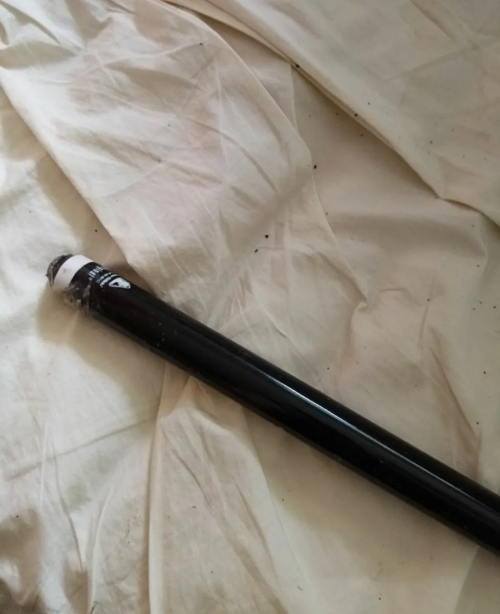 Pool Cue - Image 1
