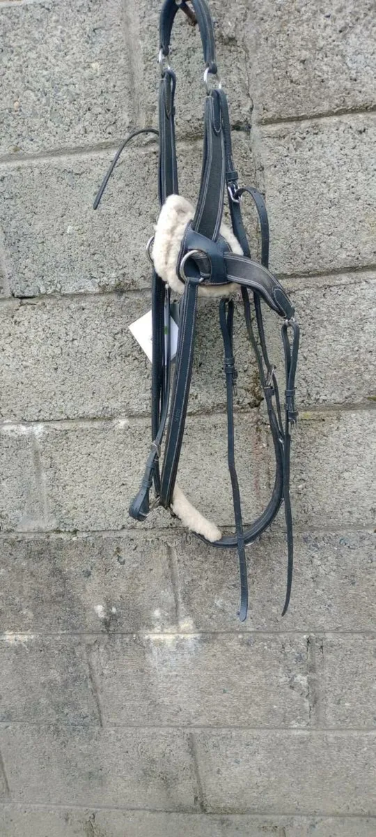 Full size 5 point breastplate,