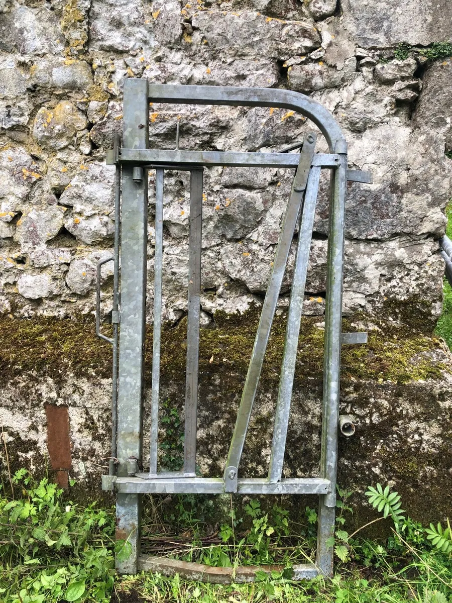 Cattle Crush Gate - Image 1