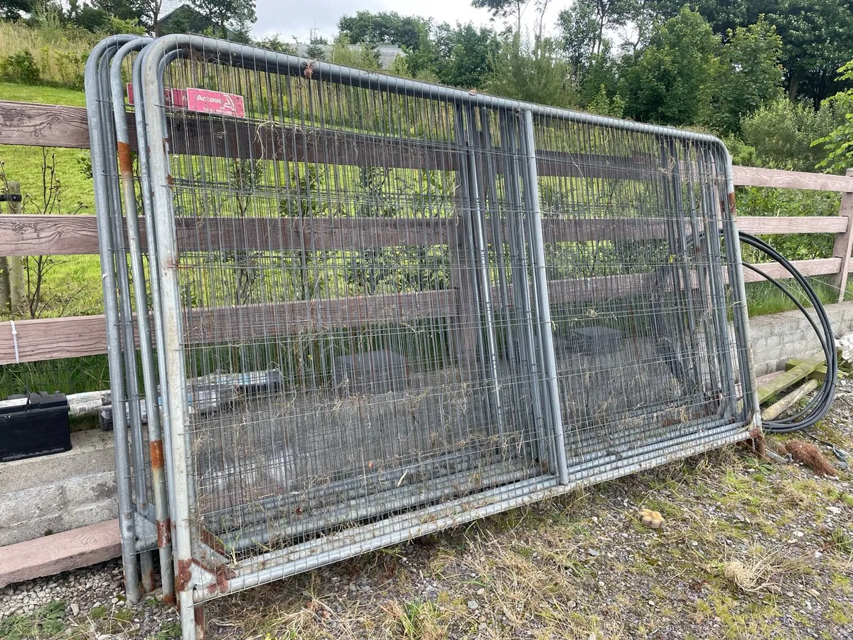 Site fencing - Image 1