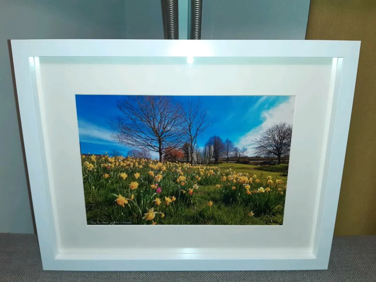 Midleton - Image 4