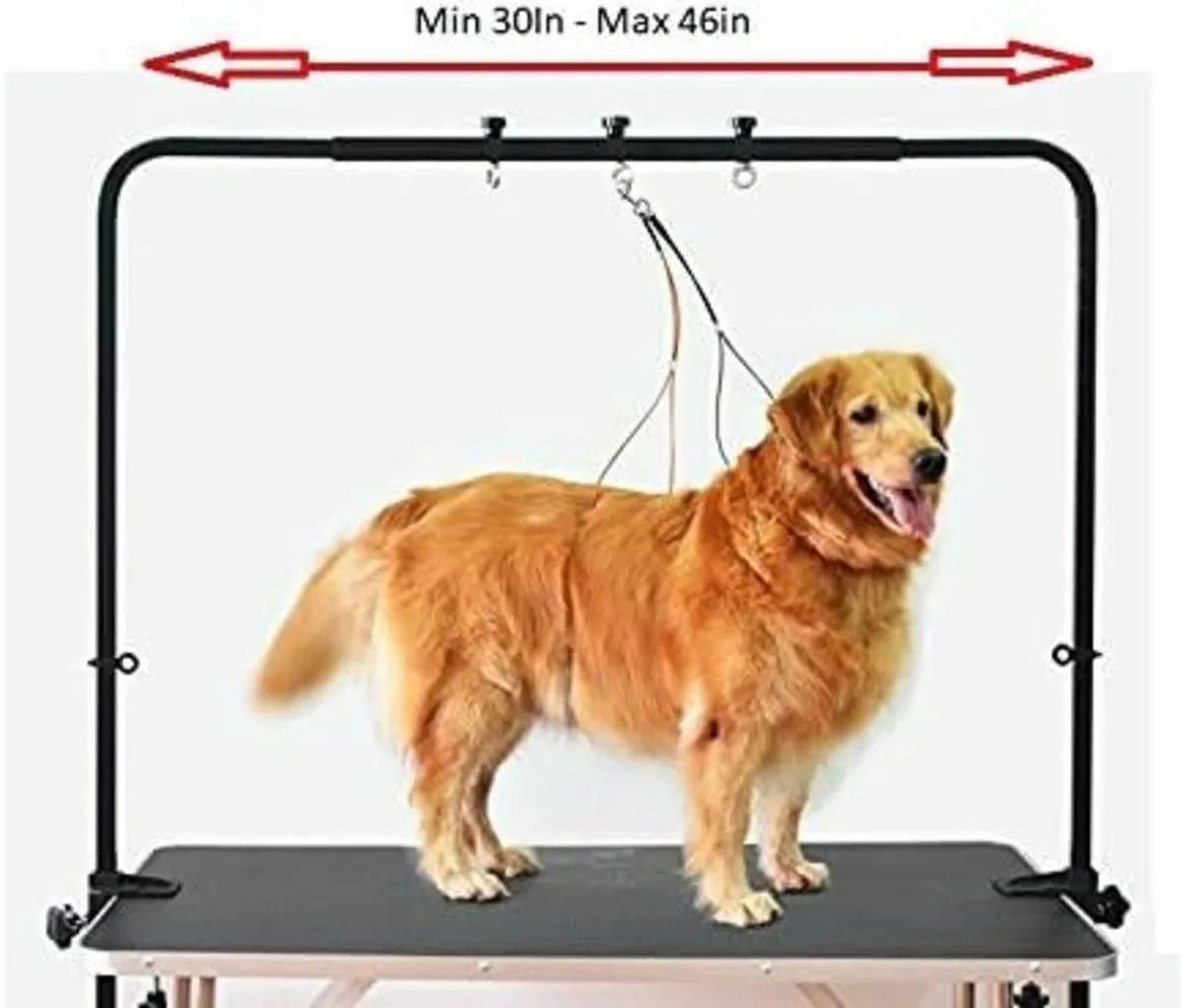 Overhead Pet Grooming Arm with Clamps & Harness - Image 2