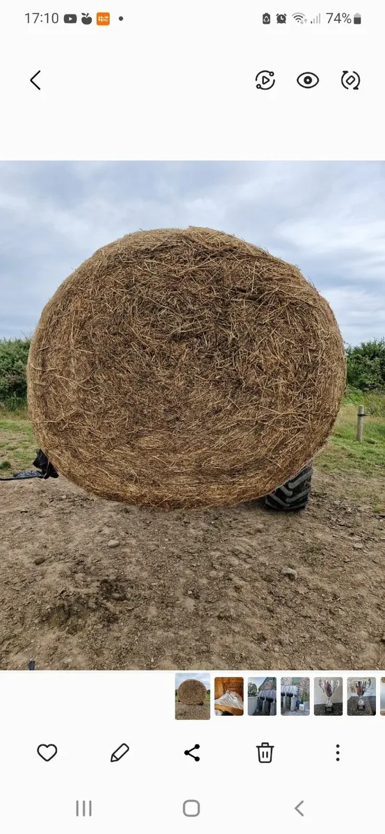 SILAGE - 2024 FIRST CUT - Image 2