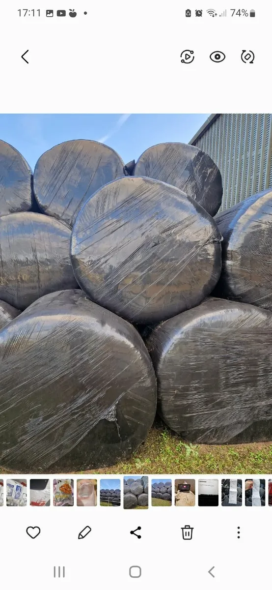 SILAGE - 2024 FIRST CUT - Image 3