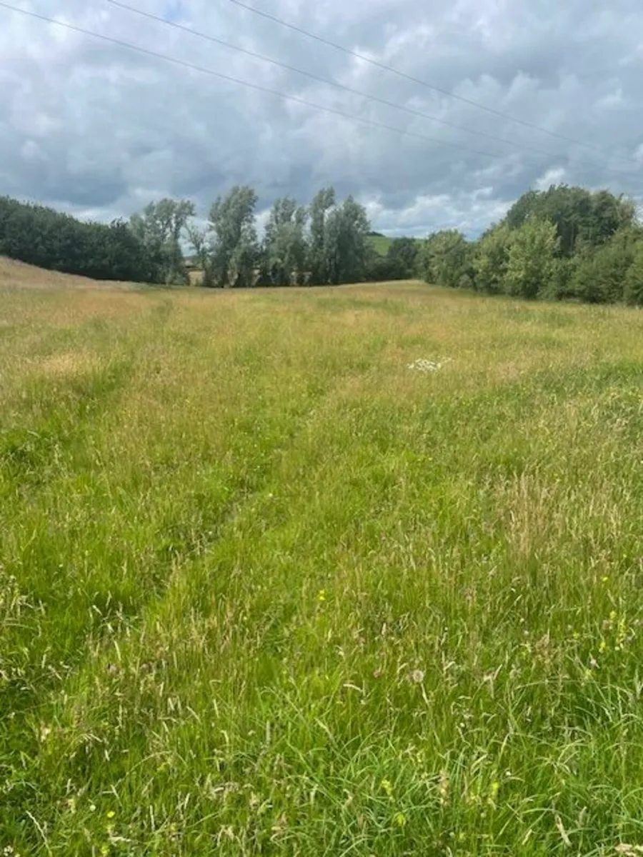 Meadow to rent, 16 Acres - Image 1