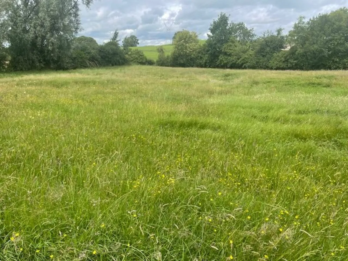 Meadow to rent, 16 Acres - Image 3