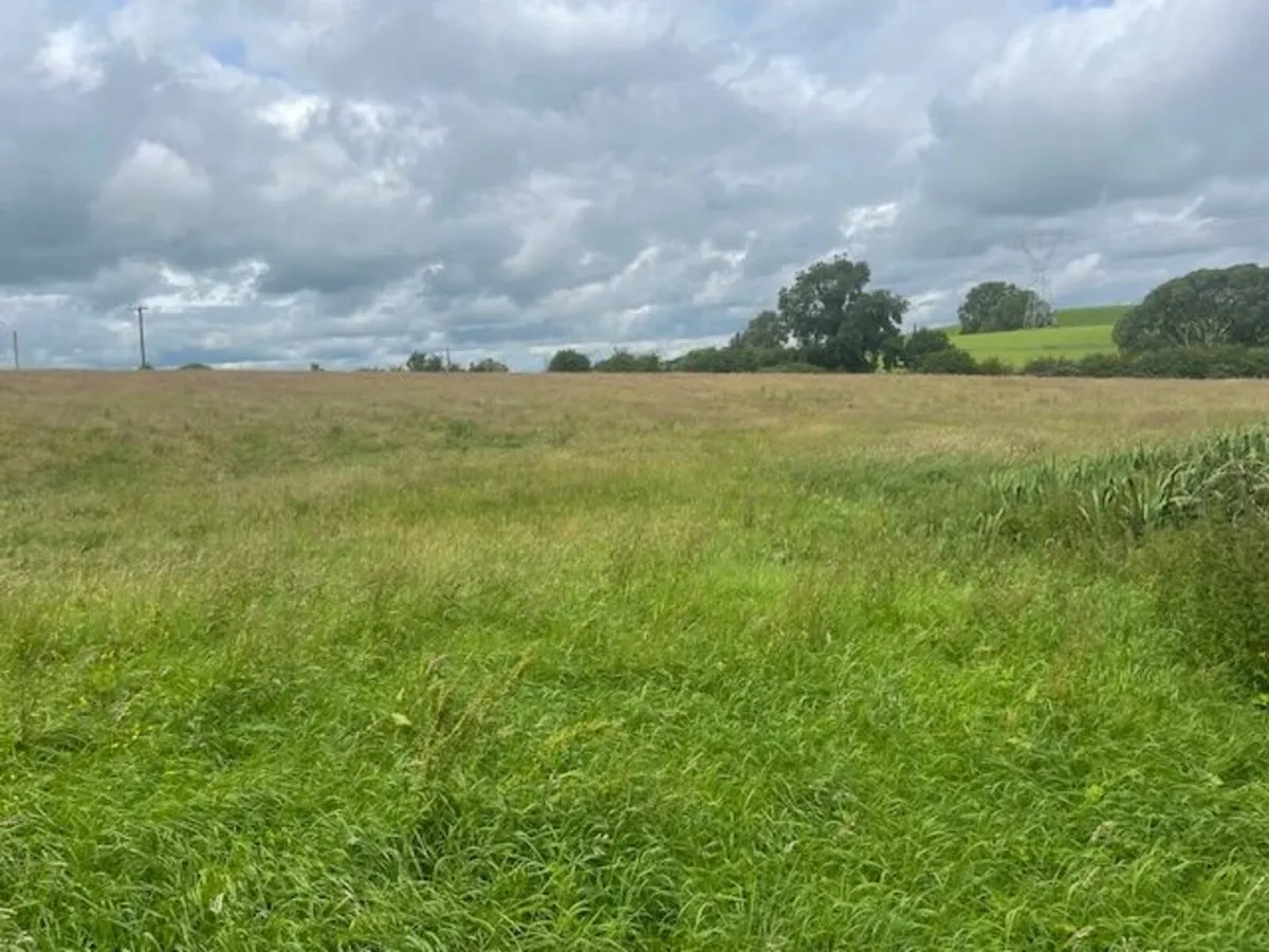Meadow to rent, 16 Acres - Image 4