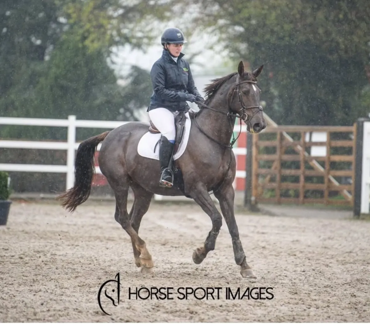 Exceptional Booodmare - Image 1