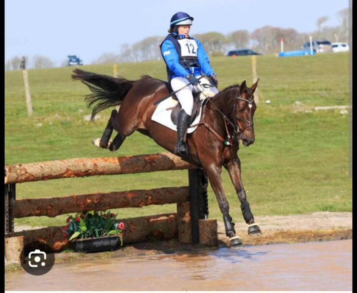 Exceptional Booodmare - Image 4