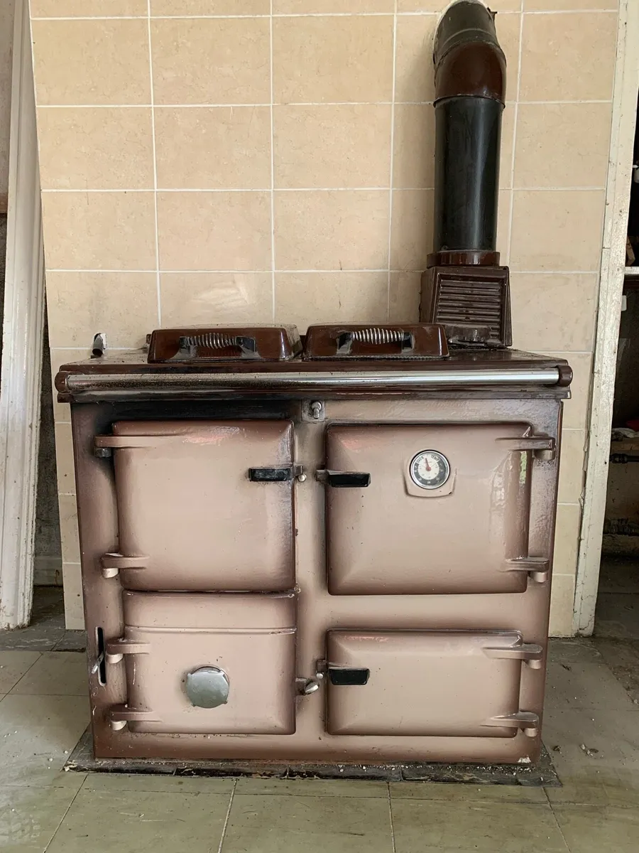 Raybourne Supreme cooker - Image 1