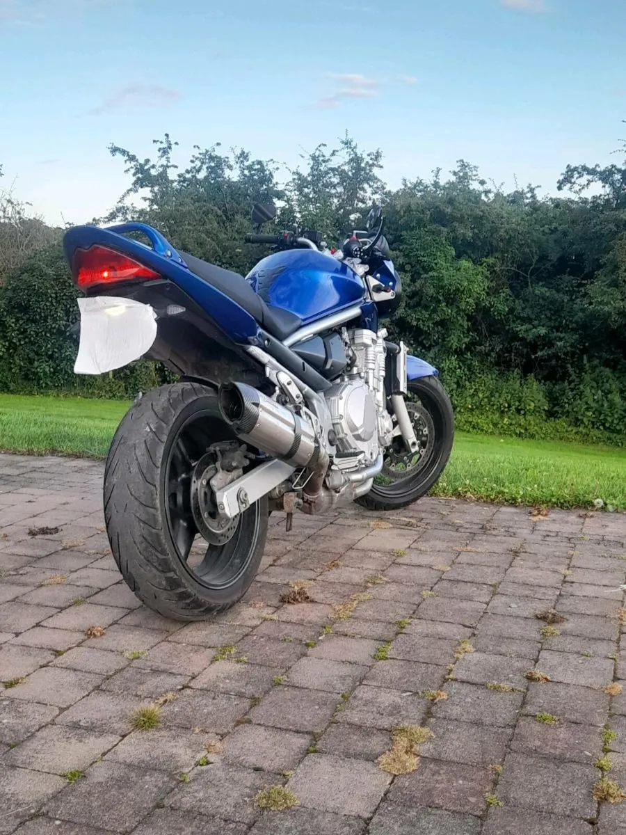 Bandit 650 - Image 3