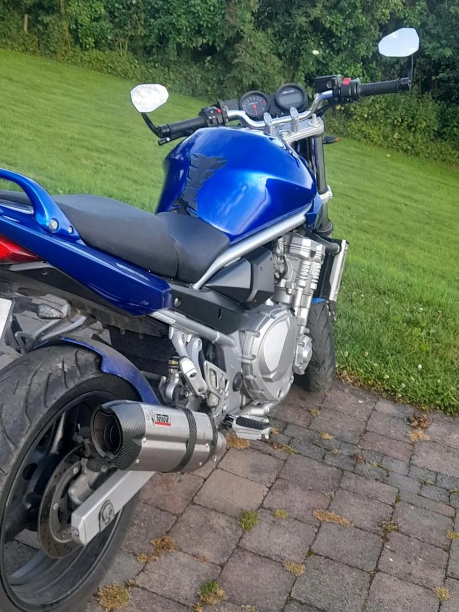 Bandit 650 - Image 4