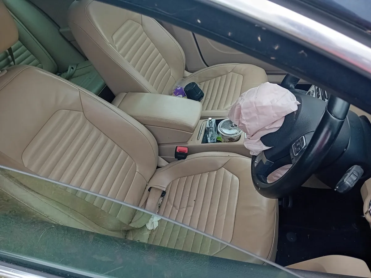 Passat - Image 2